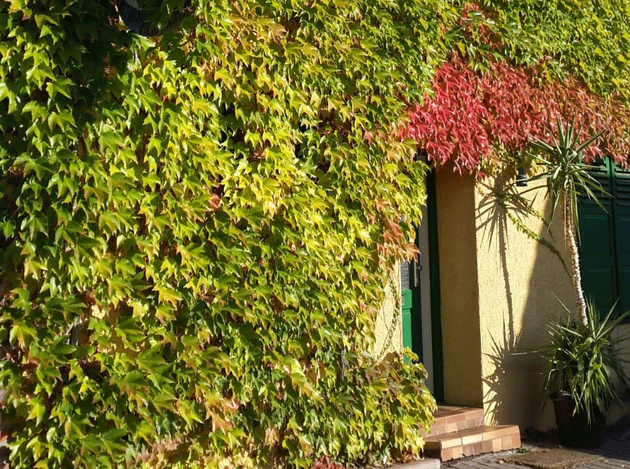 Herbstbilder